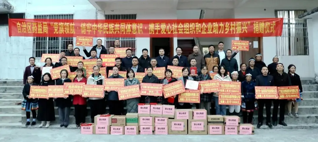 党旗领航，华球网页版_华球（中国）官方集团为南丹乡村振兴添动力