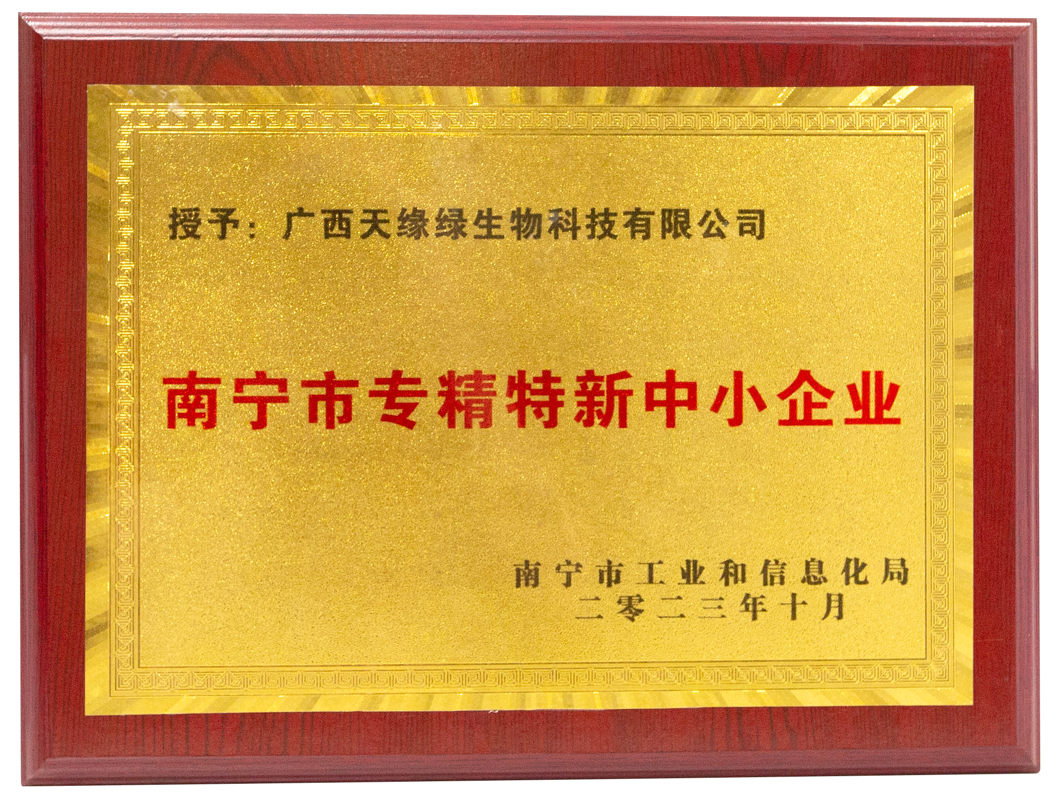 2023年-华球网页版_华球（中国）官方集团荣誉