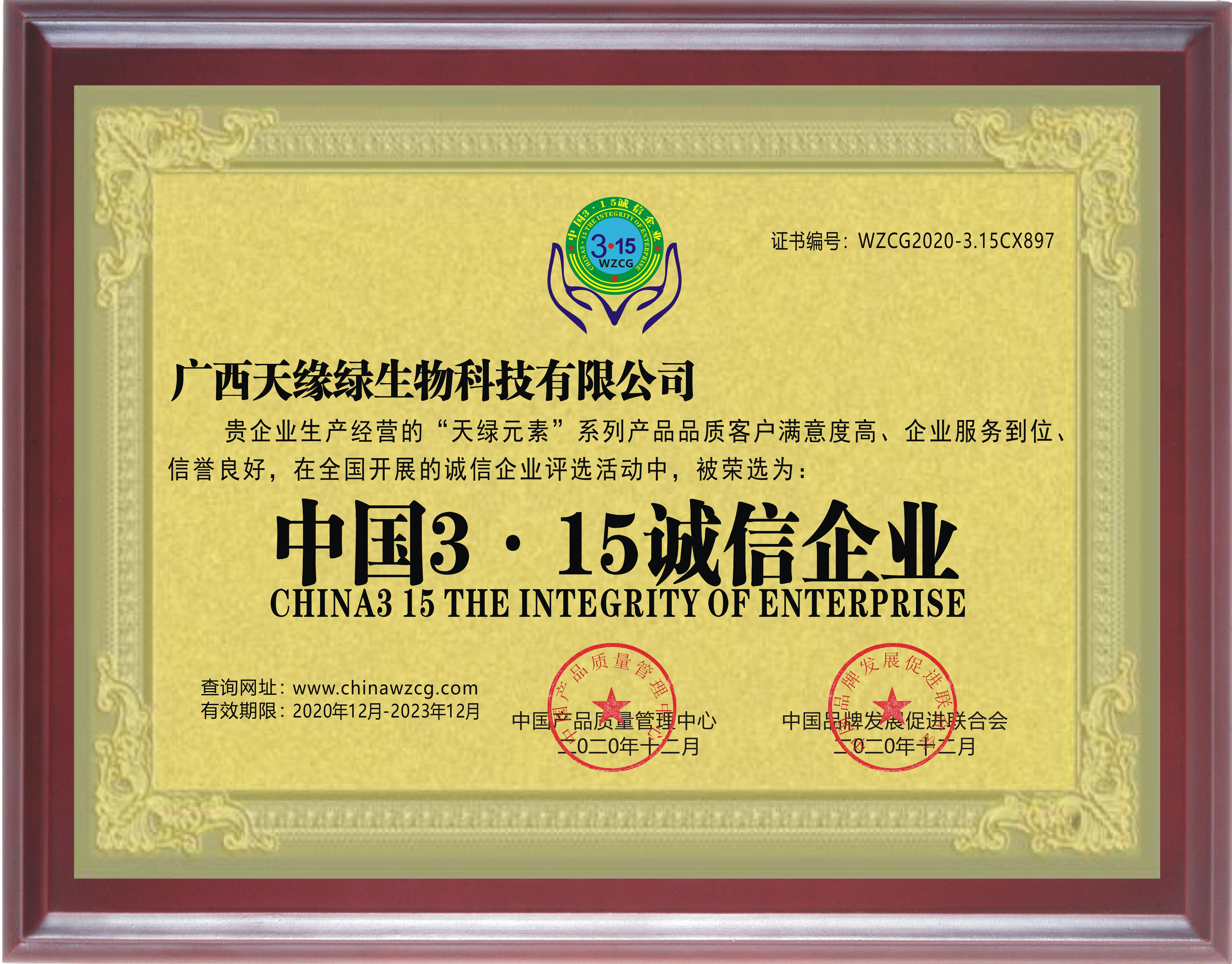 2020年-华球网页版_华球（中国）官方集团荣誉
