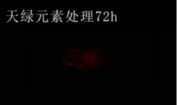 斑马鱼实验华球网页版_华球（中国）官方元素处理-72h.png