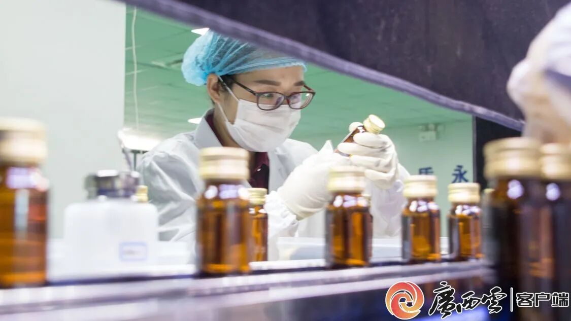 广西日报聚焦华球网页版_华球（中国）官方：从产品创新到行业标准，引领芭蕉健康产业升级